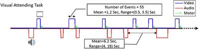 Task-Evoked Negative BOLD Response in the Default Mode Network Does Not Alter Its Functional Connectivity